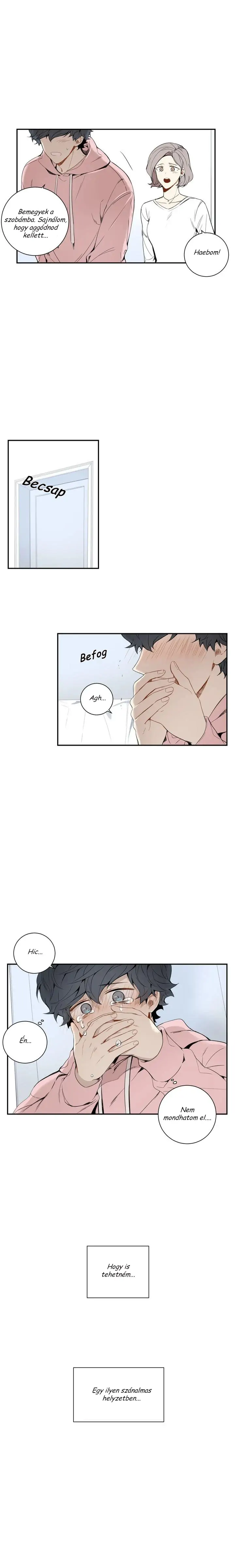 28313840 720 4800 79208