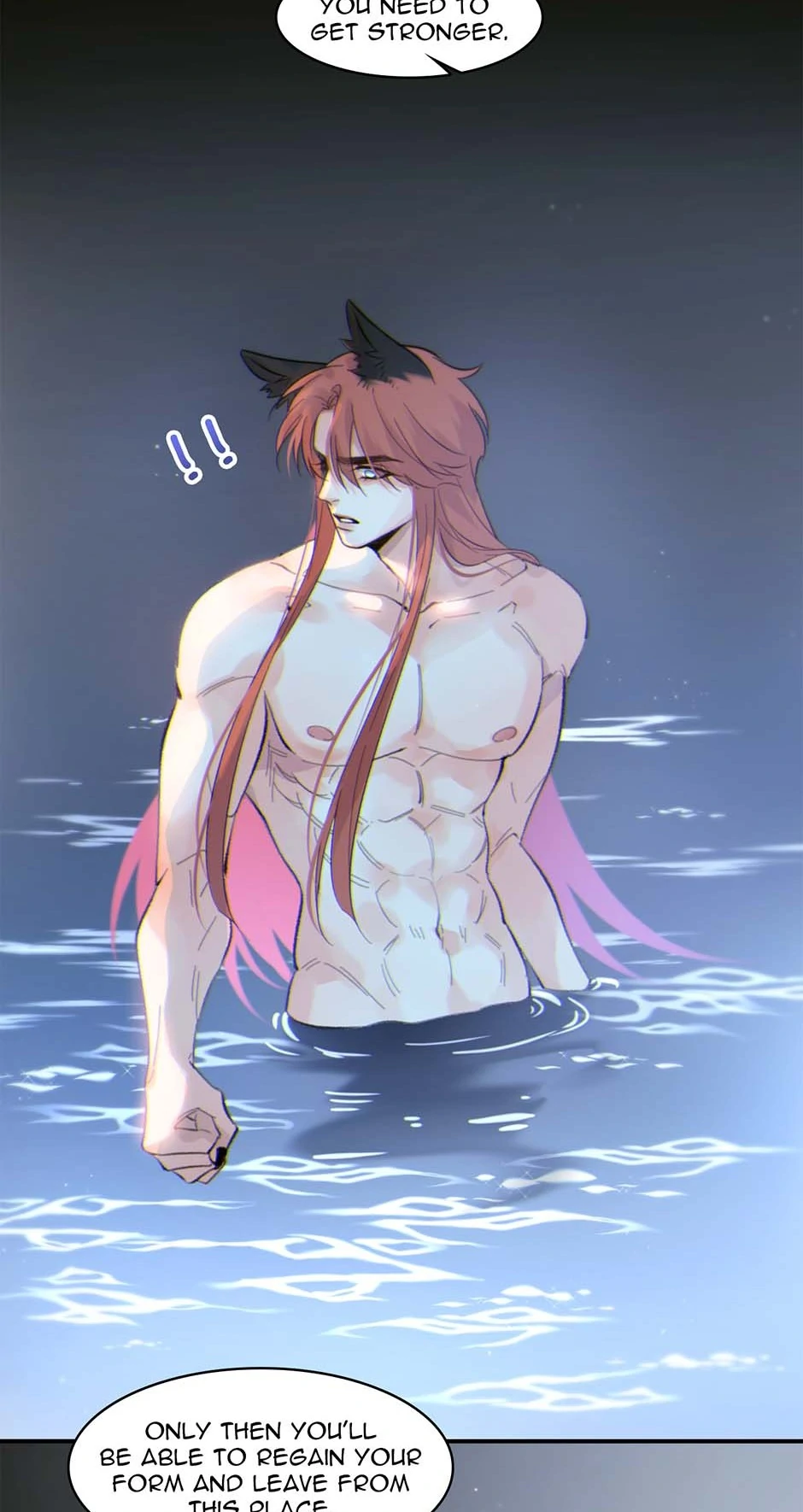 88966008 940 1770 128862