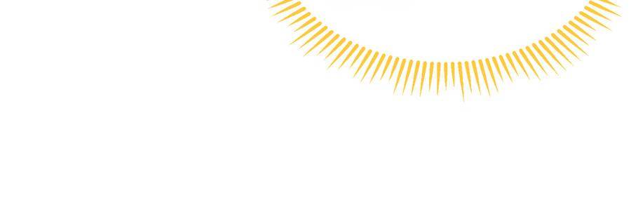 80204644 900 295 9315